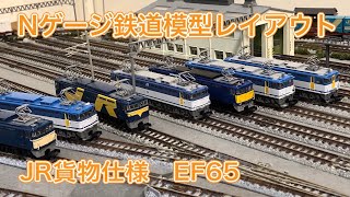 EF65 JR貨物仕様紹介！【Nゲージ鉄道模型】レイアウト走行動画