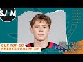 Our Pre-Season Sharks' Top-10 Prospects