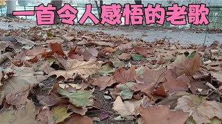 天津工业大学原河东的老校区，土地荒芜10年后，又要焕发生机了 97