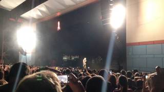 Fall Out Boy (The Phoenix introduction speech)