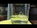 what is hydrosol ark how steam distillation works snaana