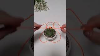 Easy Learn To Tie A Rope To Make A Hanging Flower Basket #satisfying #short