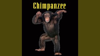 Wild Monkey
