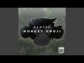 Monkey Emoji