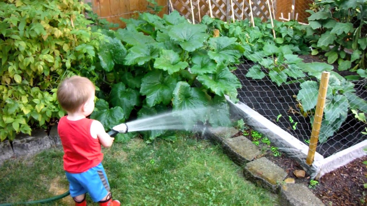 Watering Garden Youtube
