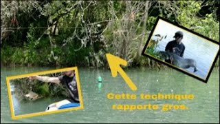 Expédition SILURE ! pêche au cassant en milieu SAUVAGE (4K)