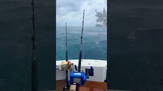 Fishing in the rain! #risingsons #fishing #nature #fish #ocean #MANengines #anywherealoha #sfc