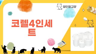 코렐 4인세트 완벽 리뷰 및 사용 후기 알아보기!