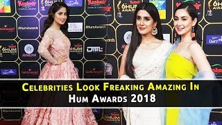Celebrities Look Freaking Amazing In Hum Awards 2018 | Celeb Tribe