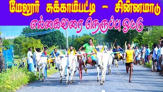 மேலூர் சுக்காம்பாட்டி சின்ன மாடு melur chinna maadu 31/07/2022