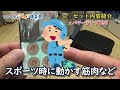 【公式】2021年夏 オススメのファイテン商品7選【新しい生活様式】