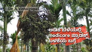 Modicare Agri Products in Arecanut Farming|ಅಡಿಕೆ ಬೆಳೆಯಲ್ಲಿ ಮೋದಿಕೇರ್ ಪ್ರಾಡಕ್ಟ್ಸ್ ಬಳಕೆಯ ಬಗ್ಗೆ