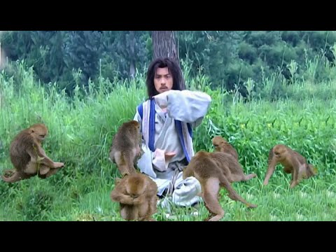 武俠電影！猴林中長大的少年日後成了武林第一！ 中国电视剧 KungFu
