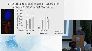 Epigenetic Memory, Identity, and Regulation | 2024 Genome Architecture & Function Wkshp