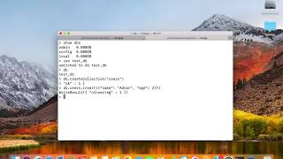 MongoDB Tutorial 2 - Insert & Read documents