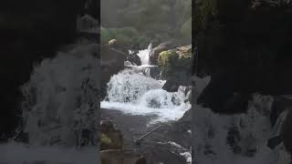 Bheloghat waterfalls (Dikrutpi) KARBI ANGLONG ❤️🌿🌿🌿♥️