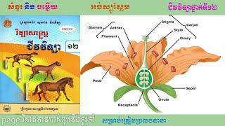 ជីវវិទ្យាថ្នាក់ទី១២(វីឌីអូស្តង់ដារ) ជំពូក1 ស៊ីមណូស្ពែម និង អង់ស្យូស្ពែម/មេរៀនទី1\u00262/ត្រៀមប្រលងបាក់ឌុប