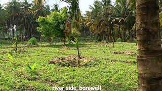 4.50 acres river side parambu for sale in kozhinjampara! 45 lakhs per acre! palakkad dt