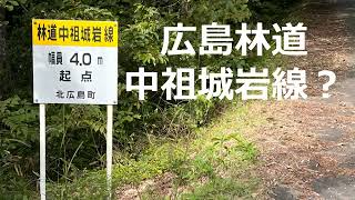 広島林道㉑　中祖城岩線