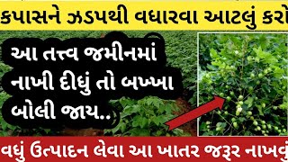 કપાસને ઝડપથી વધારવા આ તત્વ નાખો 💥 100% પાક્કું રીઝલ્ટ | kapas kheti | હરીભાઈ પટેલ | khedut sahay