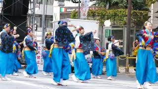 雁微笑連（2024東京よさこい）