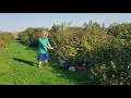 the great hazelnut harvest 2021 day 20