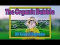 The Organic Bubble - Off Grid Permaculture in El Salvador | Central America | Auroras Eye Films