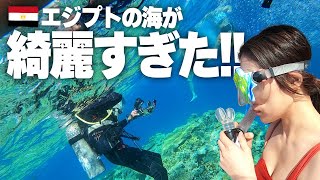 【エジプト旅行】世界一綺麗な海！？砂漠の国にこんな絶景があったなんて...