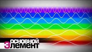 Как мы видим цвет. Цветовое зрение в животном мире | Основной элемент