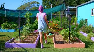 A Day of Gardening in HOT Subtropical Australia 🌱