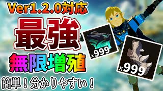 【ティアキン】最新Ver1.2.0対応！手軽に簡単に無限増殖させる最強の方法【ゼルダの伝説 ティアーズ オブ ザ キングダム】【Zelda Tears of the Kingdom】攻略