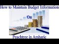 How to use Peachtree Accounting in Amharic Part Nine