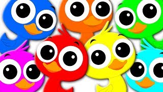 Learn Colors Learning Colors With Ducks Colors Song Preschool Video For Kids kids tv