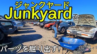 【アメリカ生活】ジャンクヤード行って、宝探し😂 #車好き #カスタムカー #アメリカ生活 #国際結婚