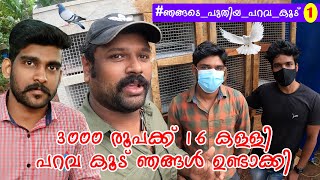 3000 രൂപക്ക് 16 കള്ളി പറവ കൂട് | ഞങ്ങൾ വീണ്ടും ഒന്നിക്കുന്നു | ഞങ്ങടെ പുതിയ പറവ കൂട് | #Loft #Pigeon