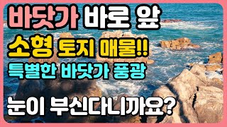 바닷가 앞 소형 토지 매매 바닷가 1열 땅 바다 앞 땅 바닷가 앞 땅 바닷가 바로 앞 토지 바닷가 소형 땅 바닷가 토지 매물 바닷가 땅 매매 바닷가 땅 매물 바다 1선 땅