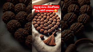 రుద్రాక్ష మాల వేసుకోవడం వల్ల కలిగే లాబాలు 📿🧐 || Benefits of Rudraksha || #shortsfeed #viralshorts