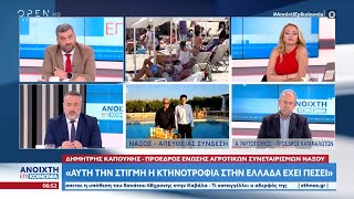 Πώς κινήθηκε η αγορά το τριήμερο στη Νάξο – Ποια τα προβλήματα στις κτηνοτροφικές μονάδες | OPEN TV