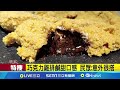 創意美食比拚