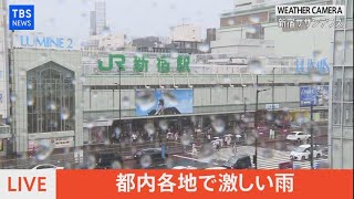 【LIVE】都内各地で激しい雨（2021年7月11日）