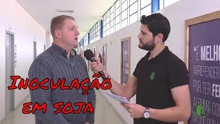 Importância da inoculação de sementes de soja