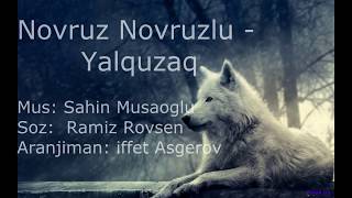 Novruz Novruzlu - Yalquzaq