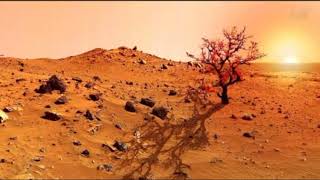Mars: Plants to grow on Mars, you can take advantage of the sunlight