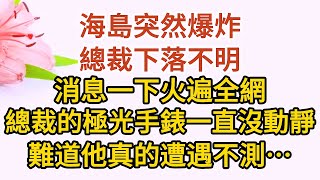 大結局（上）《三崽炸翻天》第09集：海島突然爆炸，總裁下落不明，消息一下火遍全網，總裁的極光手錶一直沒動靜，難道他真的遭遇不測……#戀愛#婚姻#情感 #愛情#甜寵#故事#小說#霸總