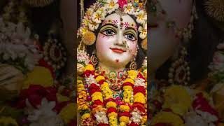 Jai radha radha shree radha 💖🙏💫🌼🌹#radhakrishna #youtubeshorts