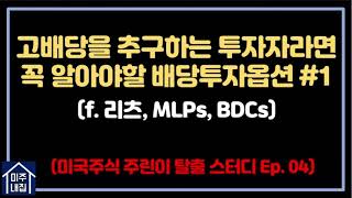 고배당을 추구하는 투자자에게 좋은 배당투자옵션 #1_[미국주식 초보탈출 스터디 시리즈 ep.04]