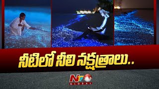 నింగి లోని నక్షత్రాలు సముద్రపు నీటిలో తేలుతున్నాయా? ఏమిటీ వింత? | Sea Star Mystery | Ntv Global