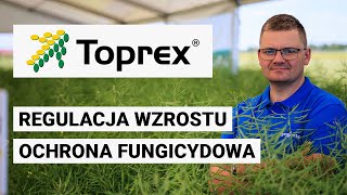 Ochrona fungicydowa oraz regulacja rzepaku | TOPREX