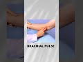 brachial pulse medical term shorts pulsesite