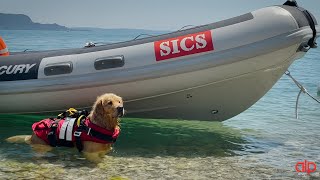 Alp Design - DELPHINUS! The floatable harness for your dog! Designed with SICS (English subtitles)